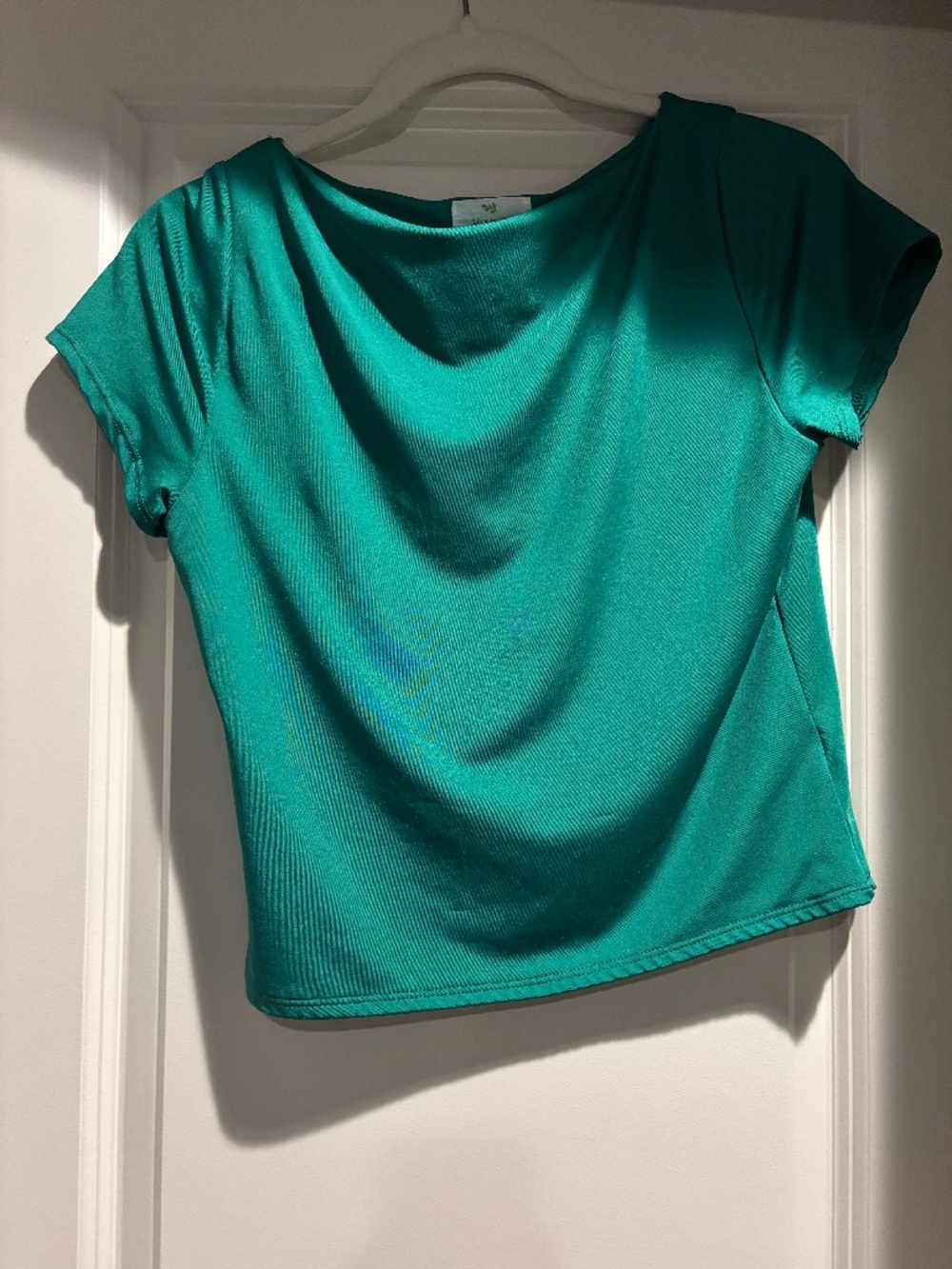 Live In The Moment Green Satin Boatneck Crop Top Tee Blouse Shirt Large